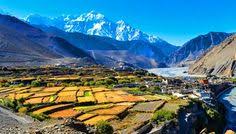 Practically every person has insurance policy today. Niraj Govinda Nirajgovindashrestha Profile Pinterest