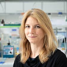 Georg-Speyer-Haus: Prof. Dr. Florian Greten