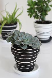 Black And White Pot Painting Ideas 21 Cute Diy Pots You Ll Love In 2020 Plant Pot Diy Plant Pot Design Painted Flower Pots