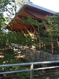 How do you ride on a camel? What S New At John Ball Zoo
