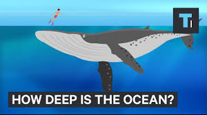 this incredible animation shows how deep the ocean really is