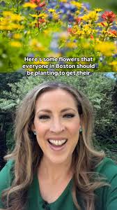 Pamela Gardner NBC10 Boston