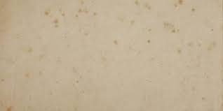 Bei einem kleinen schimmelbefall kann man die matratze in der regel mit chemischen zu den zuverlässigsten hausmitteln gegen schimmel. Stockflecken Entfernen Brune Magazin