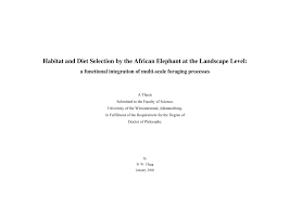 Image result for Decorsea schlechteri