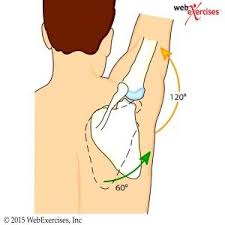 How To Prevent Rotator Cuff Injuries Through Corrective Exercise Programming Part 1 Nasm Blog Rotator Cuff Injury Rotator Cuff Rotator Cuff Tear