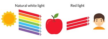 What Is Cri The Ultimate Guide To The Color Rendering Index