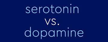 Click on any word from the caption to get its definition. Dopamine Vs Serotonin The Difference Between These Happy Hormones Dictionary Com