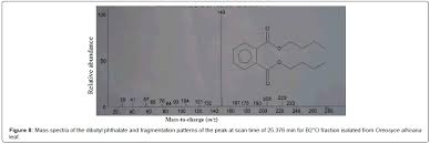 Image result for Oreosyce africana