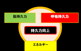 「グリコ パワープロダクション オキシドライブ 呼吸持久系サプリメント」の画像検索結果