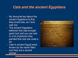 Animals were revered for different reasons. Interesting Facts About Ancient Egypt Ppt Download