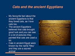 The ancient egyptians were respectful towards the animals that shared their world and associated many of them with deities it seems that the cat is in fact indigenous to egypt. Interesting Facts About Ancient Egypt Ppt Download