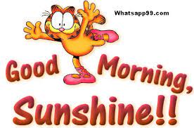 Shristi singh april 29, 2021 0. Good Morning Sunshine