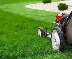 Professional Lawn Mowing