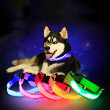 Creative Hot Safety Pet Collar For Lighted Up Nylon Led Dog Collar Advanced Glow Necklace Dogs Luminous Led Collars Pet Supplies Collars Aliexpress