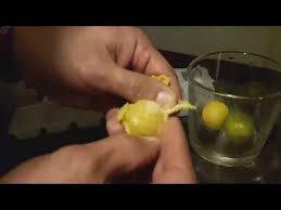 Cocktails cocktail recipes yummy drinks healthy drinks mead wine fruit recipes drink recipes skinny margarita calamansi. How To Make Calamondin Citrus Fruit Juice Best Tasting Drink Ever Find My Recipes