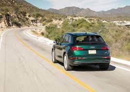 Image result for Azorean Green 2017 Q5