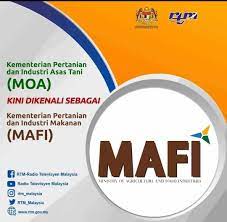 Posted on 19/05/2018 18/08/2020 by @lkim. Lembaga Perindustrian Nanas Malaysia Moa Kini Ditukar Kepada Mafi Kementerian Pertanian Dan Industri Makanan Facebook