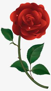 Vektor bunga png png download corak batik clip art. 10 Roses Vector Png Files Images Red Rose Vector Png Transparent Png 3155x5517 Free Download On Nicepng