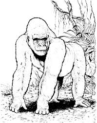 Ausmalbilder Gorilla