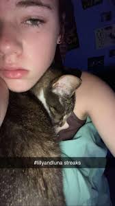 Kitten rescue and adoption assistance available