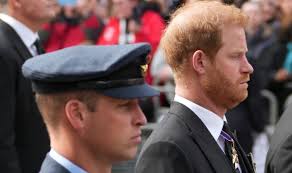 Prince Harry accused of being Prince William's 'hitman' rather than his  'wingman'