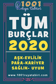 Tum Burc Yorumlari Uyumu 2020 Astroloji Ask Evlilik Para Is Kariyer Saglik 2020 Ikizler Burcu Ikizler Balik Burcu