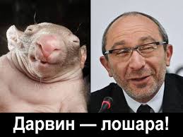 "Следователи уже выехали в Харьков", - Кернесом занялась Генпрокуратура - Цензор.НЕТ 6673