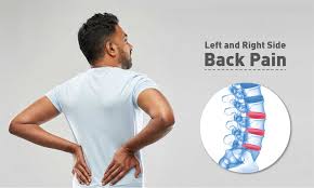 Organ pain in left side of back. Left And Right Side Back Pain Treatment Causes Diagnosis Qi Spine