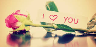 Résultat de recherche d'images pour 