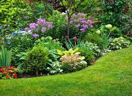 Get the best deal for silt full sun plants & seedlings from the largest online selection at ebay.com. 11 Shrubs That Can Handle The Heat Of Full Sun Bob Vila