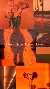 Pngtree ofrece fondos de alta resolución, papel tapiz, pancartas y carteles.| 1145523 Live Aesthetic Aesthetic Orange Naranja Neon Orange Quote Quotes Saying Hd Mobile Wallpaper Peakpx
