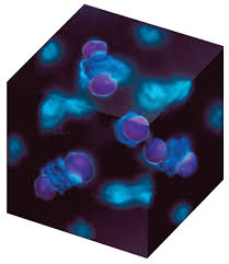 Covlent compounds electrons so that each atom has an of electrons in its highest occupied energy level. Molecular Geometry And Covalent Bonding Models