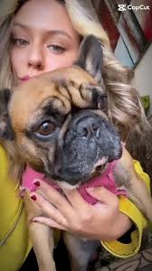 Mi hijita es mi anestesia a cualquier dolor ❤️ #acrostico #perros #hijos  #hijosperrunos #capcut #shakira