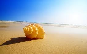 Although our staff is on the ground. What Keeps The Ocean From Draining Through The Sand Wonderopolis