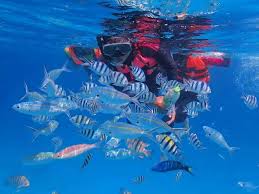 Jom Cuti Cuti Pakej Day Trip Pulau Redang 2019 Day Trip Trip Places To Visit