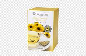 Dandelion is recommended in the treatment of anorexia, constipation, rheumatism, diabetes. Desayuno Ingles Te Te Diente De Leon Oolong Manzanilla Te Te Te De Hierbas Flor Png Pngwing