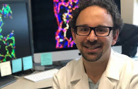 Pulmonary Fibrosis Foundation scientist wins NIH award