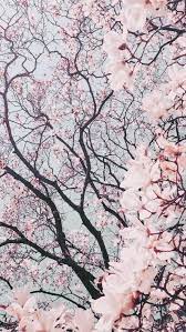 Check spelling or type a new query. 35 Free Cute Pink Wallpapers For Iphone That You Ll Love
