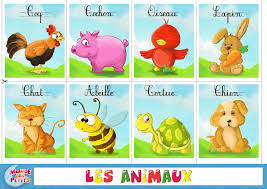 Meilleur De Images Animaux Domestiques A Imprimer Apprendre Les Animaux Animaux En Francais Imagier Animaux