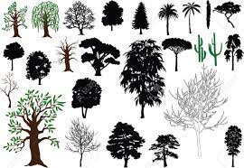 How to make a tree of life silhouette? Set Of Vector Trees Silhouettes Drawing Royalty Free Cliparts Vectors And Stock Illustration Image 5357604