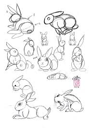Draw A Rabbit By Diana Huang On Deviantart Drawing Tutorial Beginner Sketches Animal Drawings