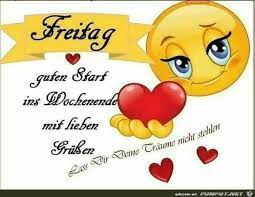 Sie haben die qual der wahl. Lustige Tierbilder Guten Morgen Fuers Handy Kostenlos