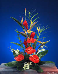 Check spelling or type a new query. Hawaii Tropical Flowers Fresh Tropical Flowers From Hawaii