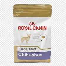 Chihuahua Golden Retriever Kopek Yavrusu Labrador Retriever Yorkshire Korkunc Golden Retriever Hayvanlar Evde Beslenen Hayvan Kopek Memeli Gibi Png Pngwing