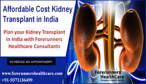 Plan Your Kidney Transplant In India With Forerunners Healthcare Consultants Kidney Transplant Transplant Health Care