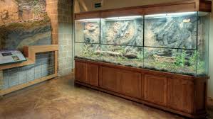 Pin By Alice Rb Bringmann On Cage Ideas Terrarium Nature Center Reptile Enclosure