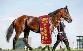 コントレイル産駒の特長は？ 青葉賞Vのゴーイントゥスカイからひも解く
