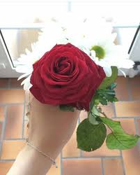 The following conventions are used: Flower Instagram Stylish Dpz Novocom Top