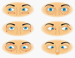 How To Improve Eyesight With Simple Exercises In 2020 Eye Exercises Eye Sight Improvement Ramdev Yoga
