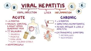 Image result for hepatitis symptoms